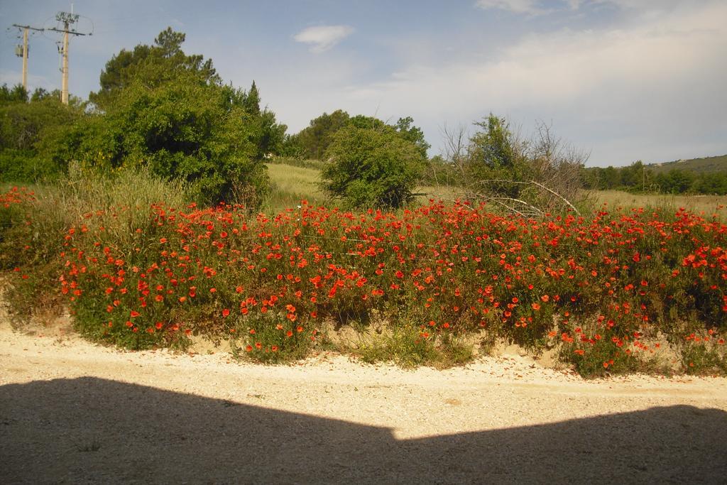 Lou Mas Li Pitchoun "La Bergerie" Διαμέρισμα Gordes Εξωτερικό φωτογραφία